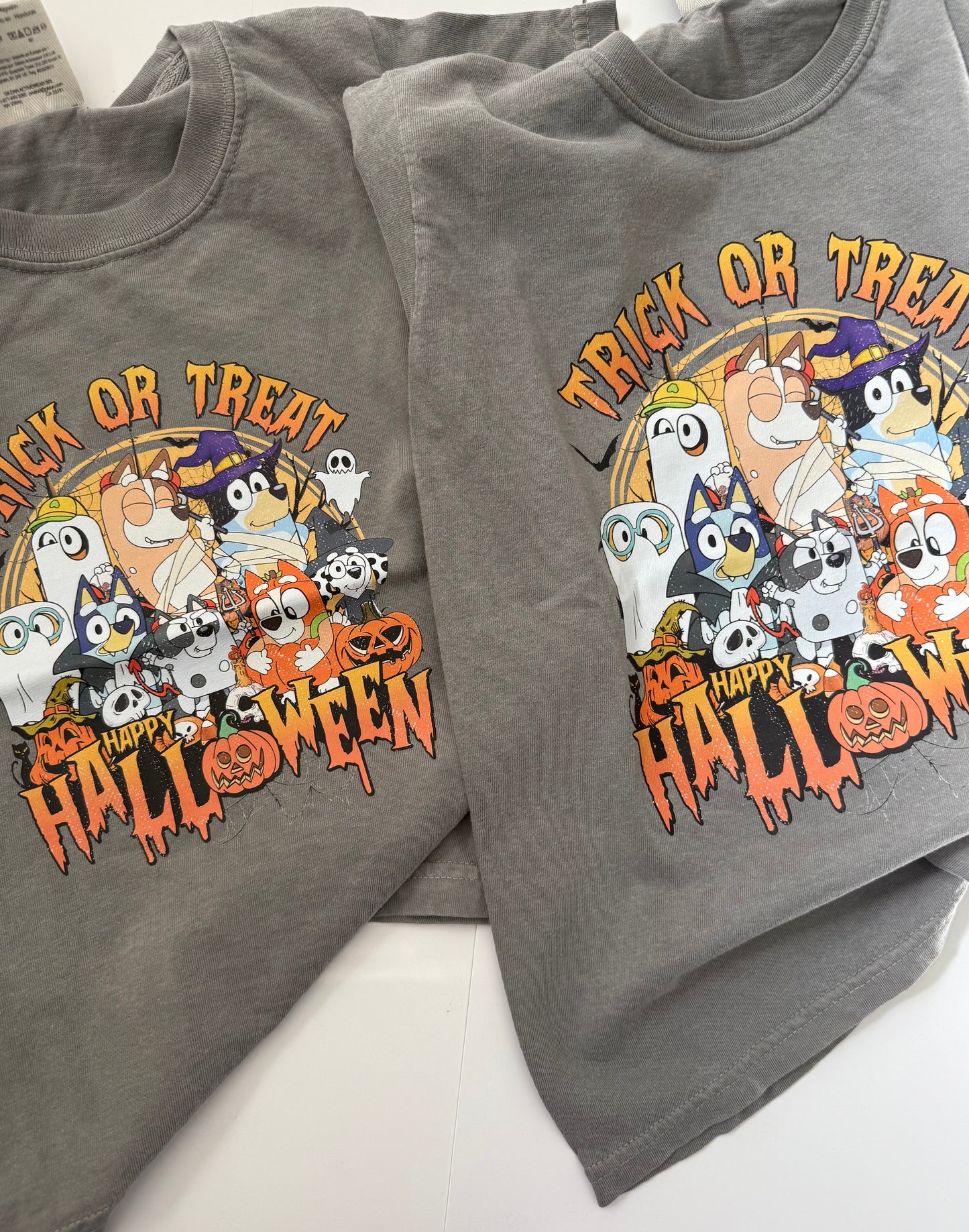 Bluey & Friends T-Shirt For Kids