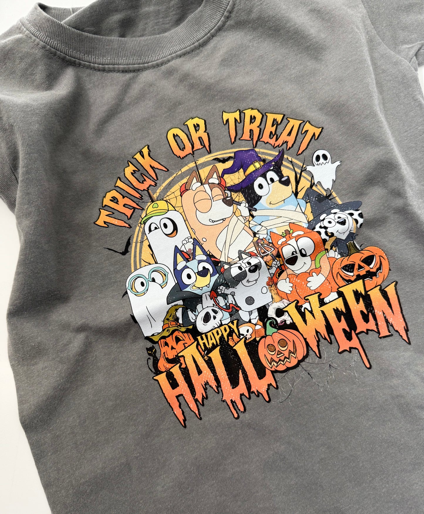 Bluey & Friends T-Shirt For Kids